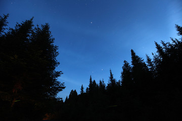 Fototapeta premium Nuit