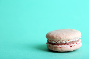 Gentle colorful macaroon on color background