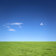 Fototapeta premium Himmel mit Wiese