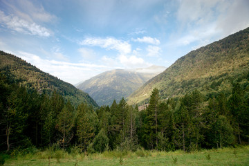 Fototapeta na wymiar Forested valleys between the mountains. andorra