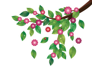 Pink Flowers and Green Leaves Branch