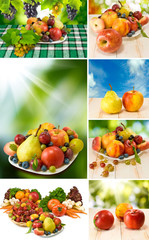 various fruits and vegetables closeup