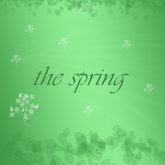 the spring