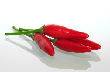 Chili fruit and reflection - Capsicum sp.