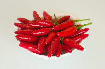 Bowl of chilis - Capsicum sp.