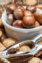 Collection of shelled nuts and nutcracker.