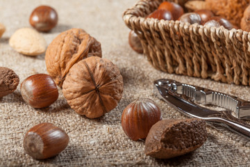 Obraz na płótnie Canvas Collection of shelled nuts and nutcracker.