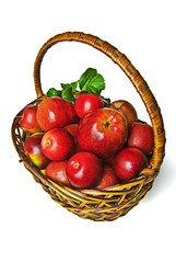 the apples in the basket