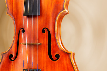 Classical violin on bright background © Africa Studio