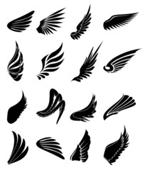 Wings icons set