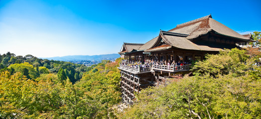 Naklejka premium Świątynia Kiyomizu-dera w Kioto w Japonii.