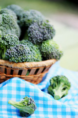 autumn broccoli in a basket