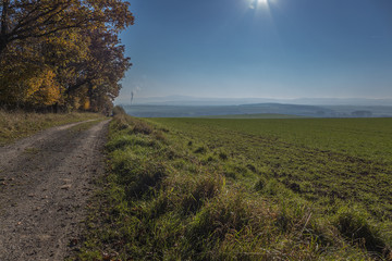 Fototapeta na wymiar Blick auf den Brocken aus dem Oderwald