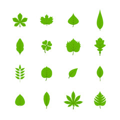 Green leaves flat icons set