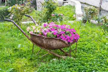 Carretta con fiori