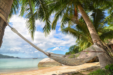Hammock hanging between palm trees at the sandy beach and sea co