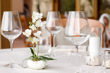 elegant dressed table with glasses and little orchid plant