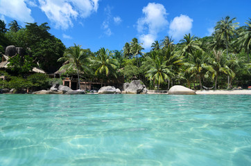 Lovely Beach with Turquoise Water and Green Palm Trees on a Trop