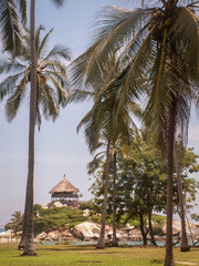 Tayrona Hut Through Palm Trees