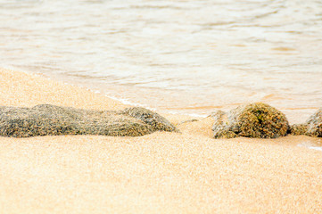 Sagone, plage (Corse)