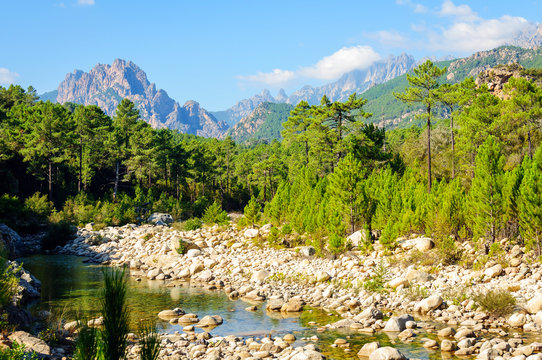 Alentours de Zonza (Corse)
