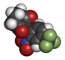 Nitisonone hereditary tyrosinemia type 1 drug molecule. 