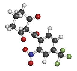 Nitisonone hereditary tyrosinemia type 1 drug molecule. 