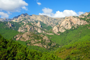 Naklejka na ściany i meble Montagnes de Zonza (Corse)
