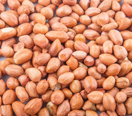 Close up view of peanut or groundnut