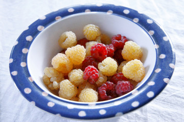 Raspberry on the plate close up after harvest