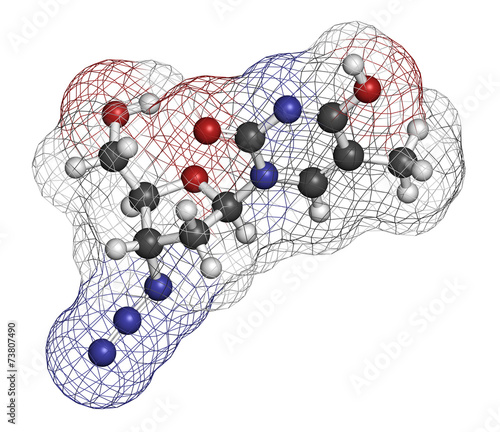 Zidovudine Azt A Drug That Acts To Help