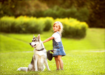 Naklejka na ściany i meble little girl in the park their home with a dog Husky