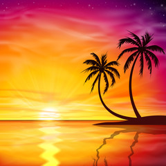 Obraz na płótnie Canvas Sunset, Sunrise with Palm Trees