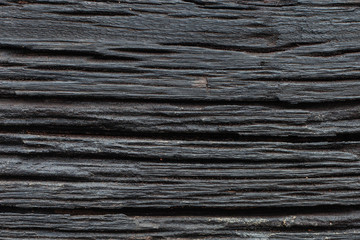 decay wood