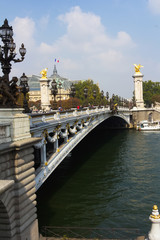 Fototapeta premium Le Pont Alexandre 3 in Paris.