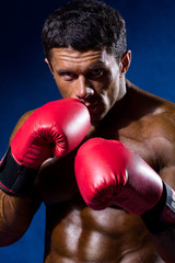 Fototapeta na wymiar Strong athletic man with boxing gloves on a blue background