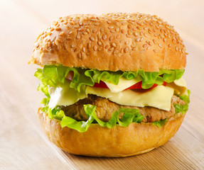 Homemade fresh hamburger