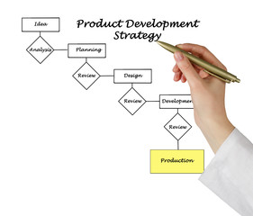 Product development process