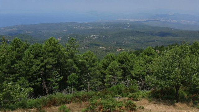 Beautiful panorama of pine trees on mountain top.