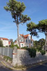 maison de vacances et arbres