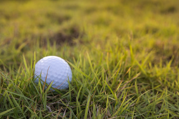 Golf ball on green grass background