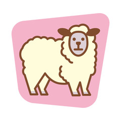 sheep_3