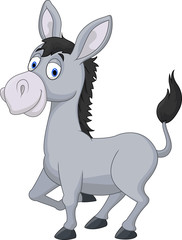 Fototapeta na wymiar Cartoon donkey