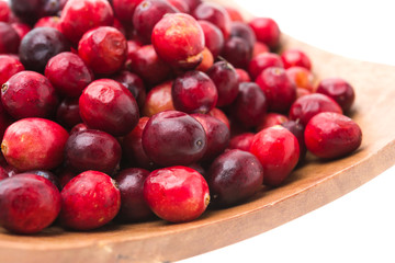 Cranberry