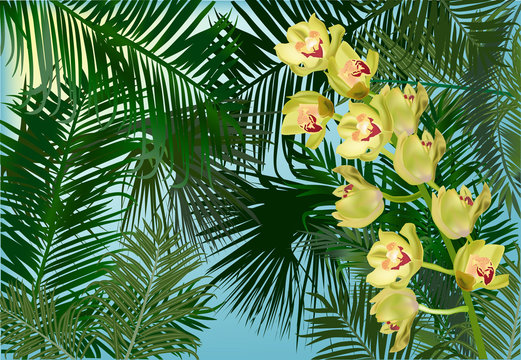 yellow orchid flower branch in green palm leaves