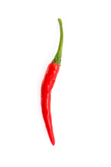 Chilli isolated on white