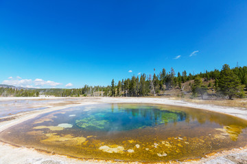 Yellowstone