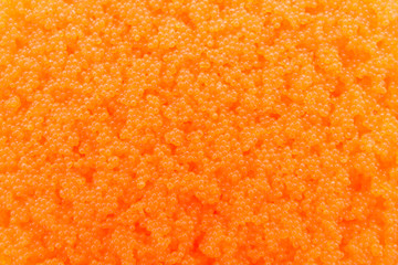 Egg shrimp background