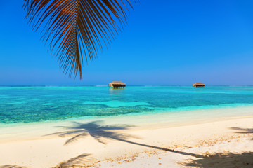 Fototapeta na wymiar Tropical Maldives island