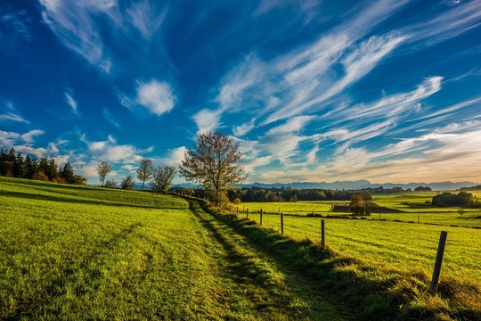 Bayerische Landidylle mit Alpenblick